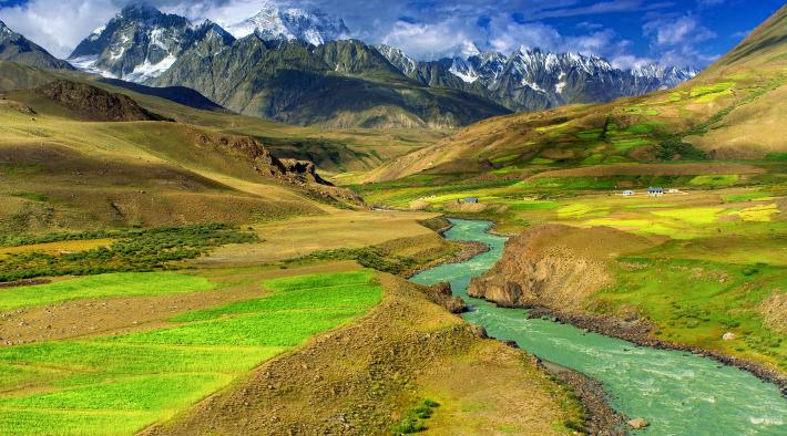 Spezialisierung der Apotheke